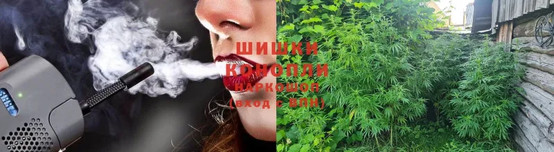 Марихуана White Widow  Каргат 